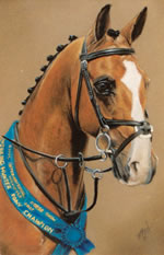 pastel portrait of a horse by purely pastels artist tracey rood