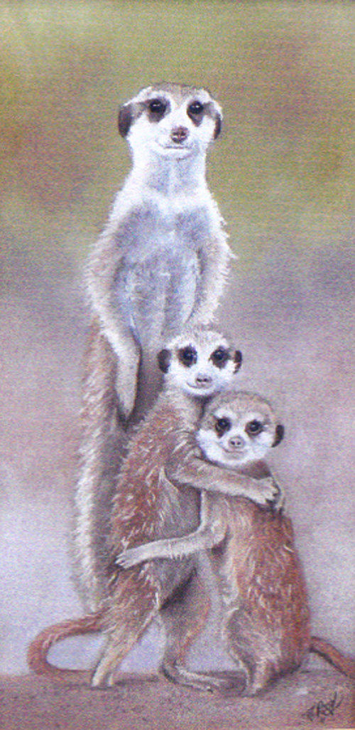 pastel illustration of Meerkats